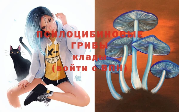 метадон Аркадак