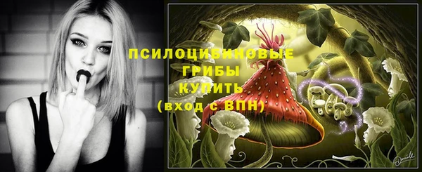 прущие грибы Арсеньев