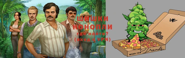 прущие грибы Арсеньев